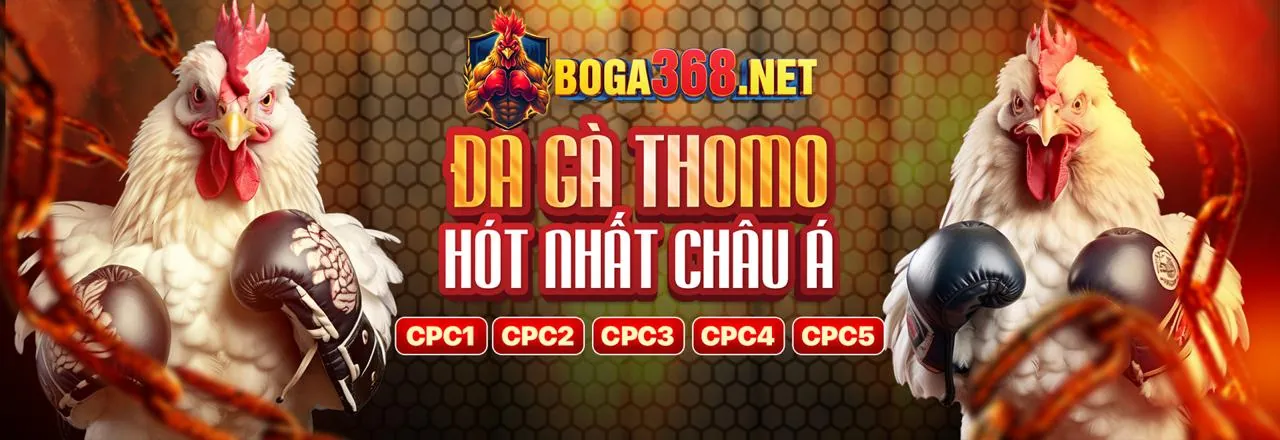 Bảo mật thông tin người dùng tại thanhvien bong88
